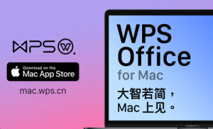 WPS下载后 PPT 动画异常的处理方式？
